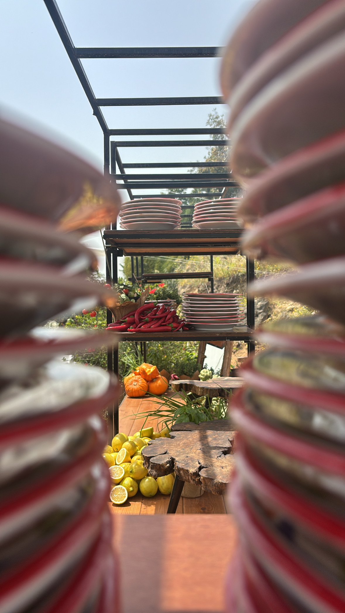 An outdoor market stand — plates, red chiles, lemons and oranges in the sun